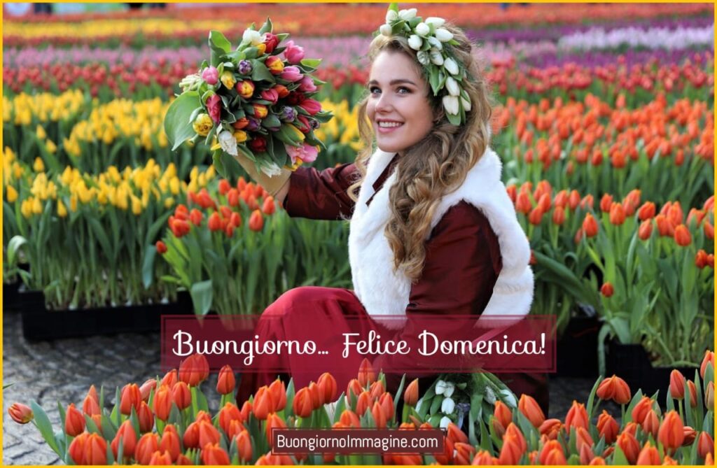 Buona Domenica Buongiorno